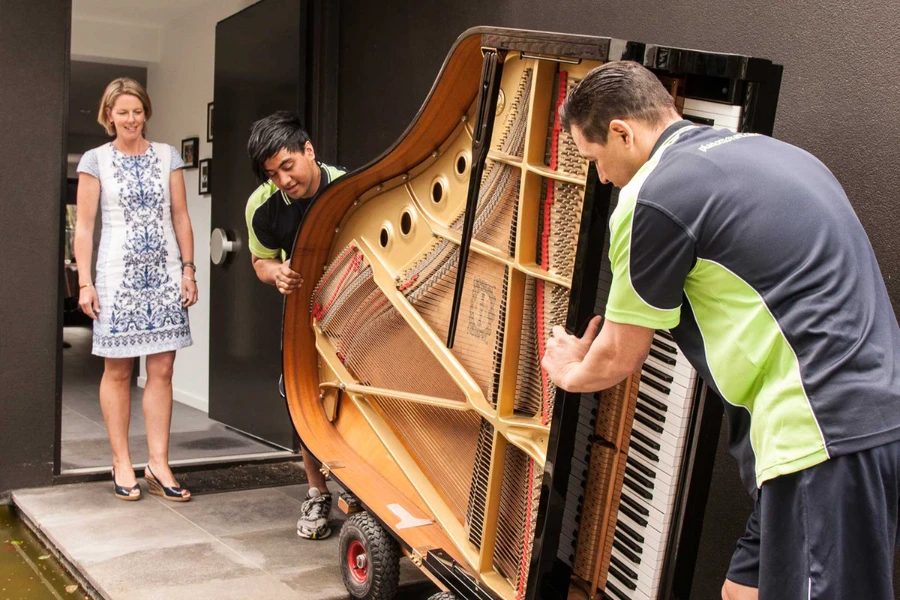 Musikinstrumente Umzugsunternehmen